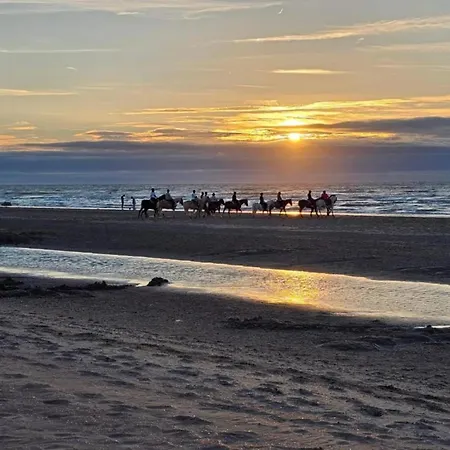 Near The Beach, Cleaning Included * Oostduinkerke